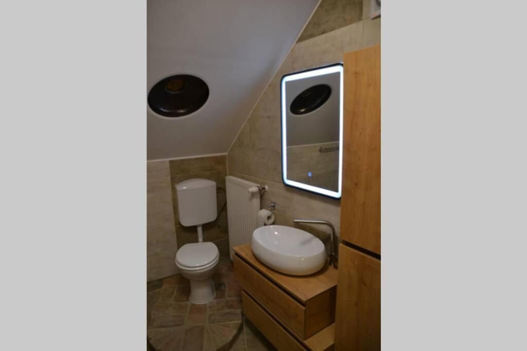 Villam Apartment Maribor Extérieur photo